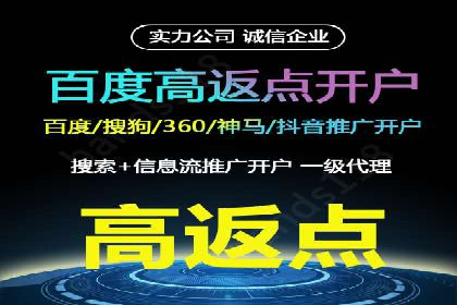 某电商平台的SEM广告投放策略及效果评估